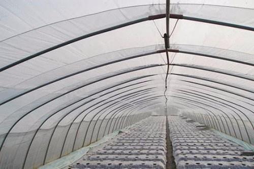 大棚膜