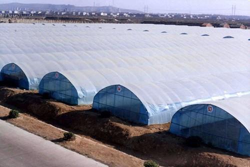 大棚膜